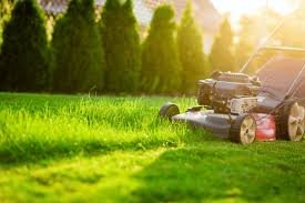 The Complete Guide to Lawn Care: How to Keep Your Grass Green, Thick, and Healthy